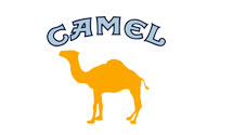 02---camel